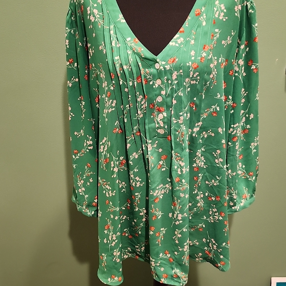 Rose & Olive Green Floral Blouse